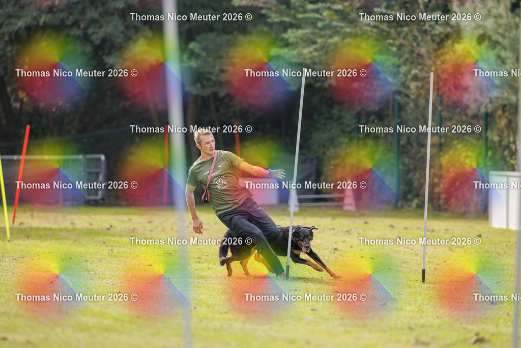 Thomas_Nico_Meuter(C)_27. September 2026_223A9071 | Bild von Thomas Nico Meuter - Realisiert mit Pictrs.com