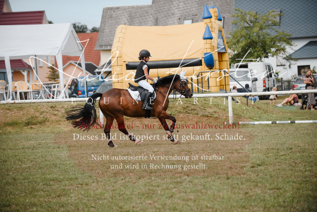 DSC_5492 | Pferde- und Turnierfotografie in Westsachsen. Pferdeportraits, Auftragszeichnungen und intuitive Kunst.