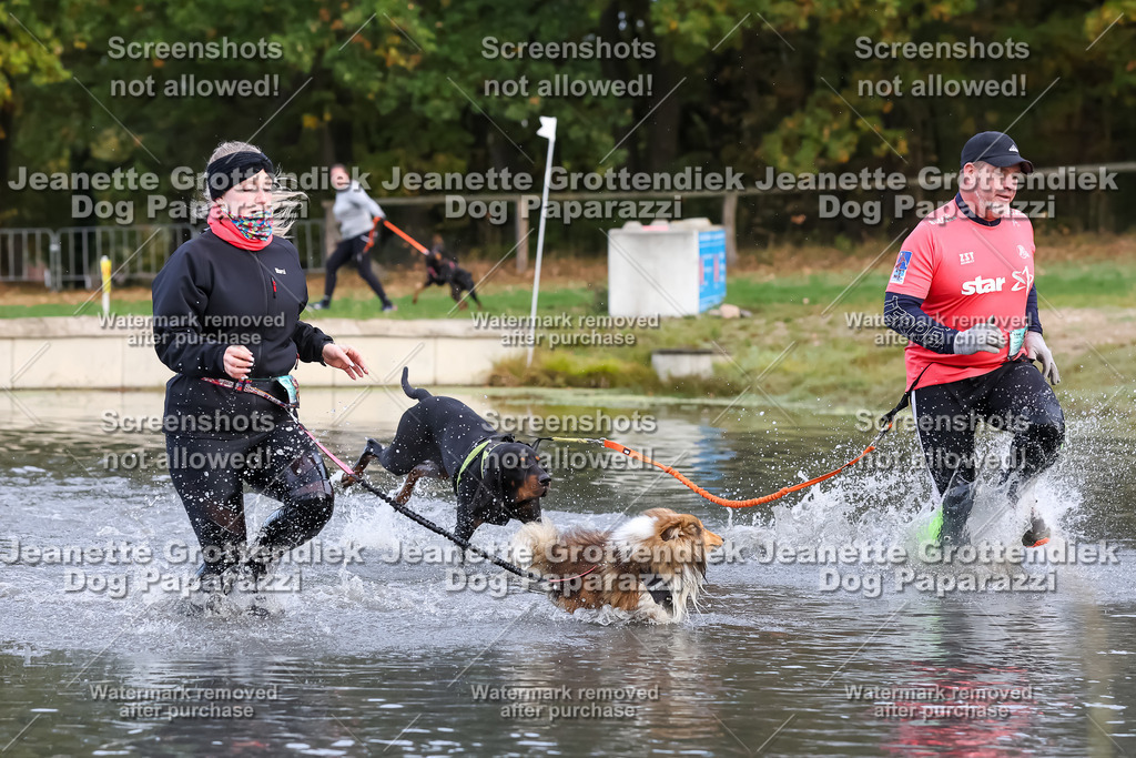 Dog Paparazzi - Strongdog 10-25-6837 | Dog Paparazzi Jeanette Grottendiek Fotografie & Videografie - Realisiert mit Pictrs.com