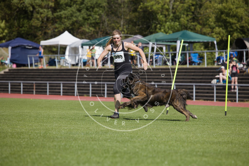 0L8A6880 | Hundefotografie, Tierfotograf, Pfotenfotografie, Fotoshooting Hund, Hunde Portrait, Hundesport, Hundeportraits, Heideshooting, Hunde, Sportfotograf, Hundefotograf, Turnierhundsport, THS,  - Realisiert mit Pictrs.com