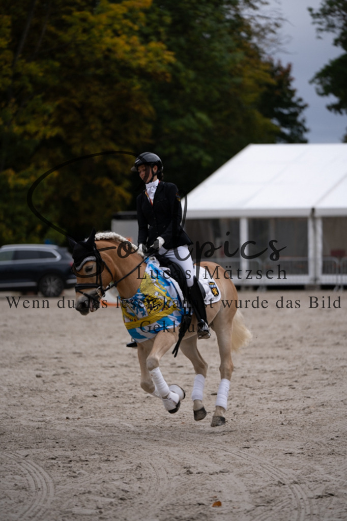 A7V01269 | Turnier/Reitfotograf