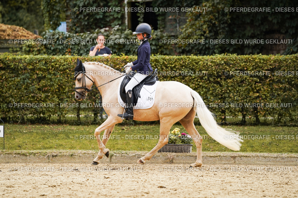 DSC00565 | Pferdegrafie