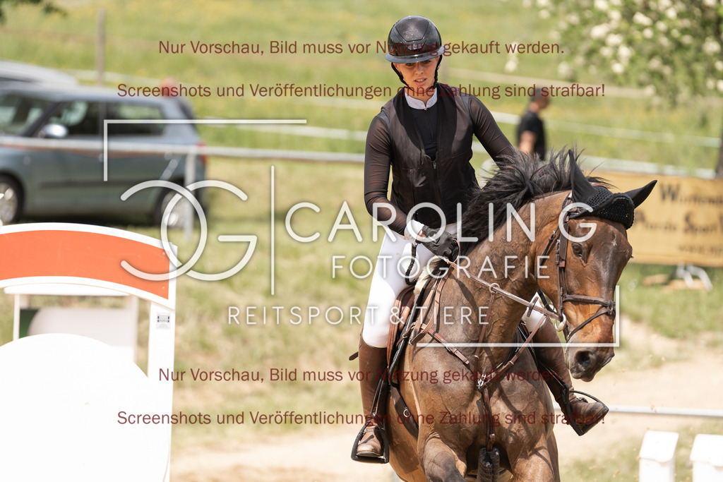 DSC06733 | Springturnier_Ehingen_Mai_2026, Carla_Schweizer, Icarus_Z