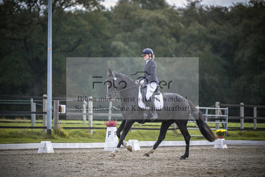 DOS_2769 | Entdecke hochwertige Reitturnierfotos von Foto Oger. Professionell, emotional und authentisch – jetzt Lieblingsmomente im Shop bestellen.Deutschlandweite Turnierfotografie. - Realisiert mit Pictrs.com