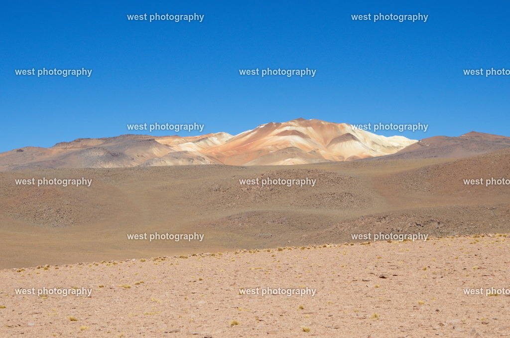Bolivia highlands 1 - BVN 2015 | west photography - Realisiert mit Pictrs.com
