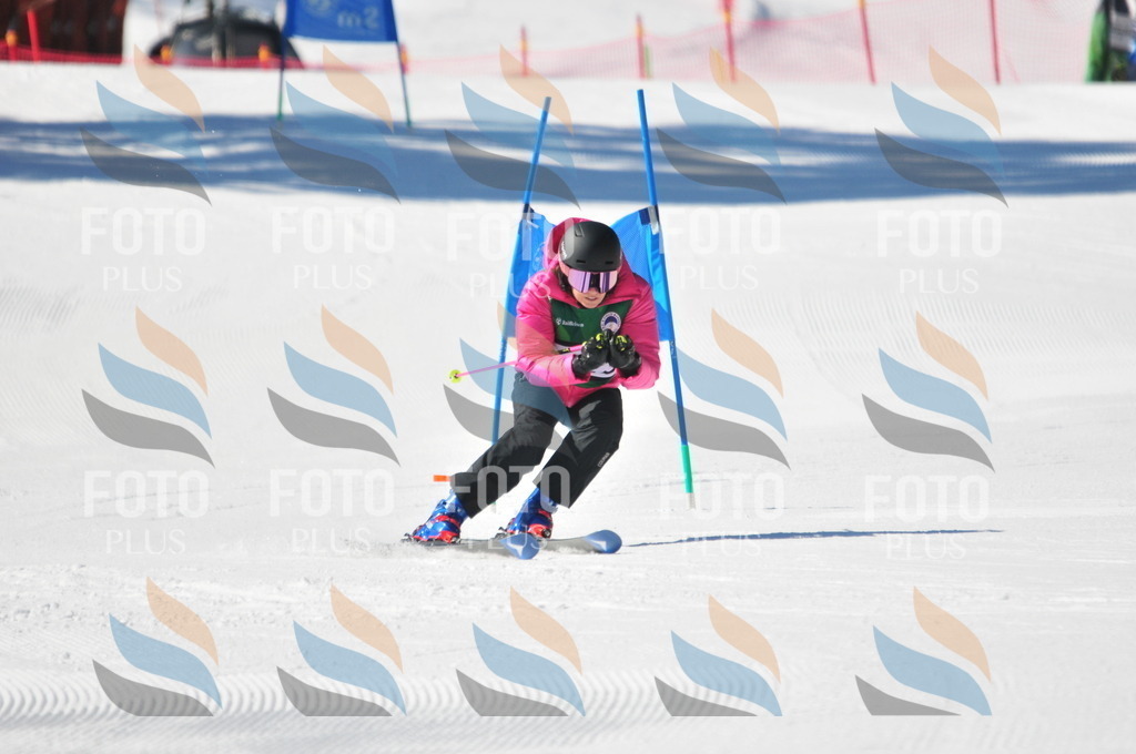 C3966 | holidayphoto