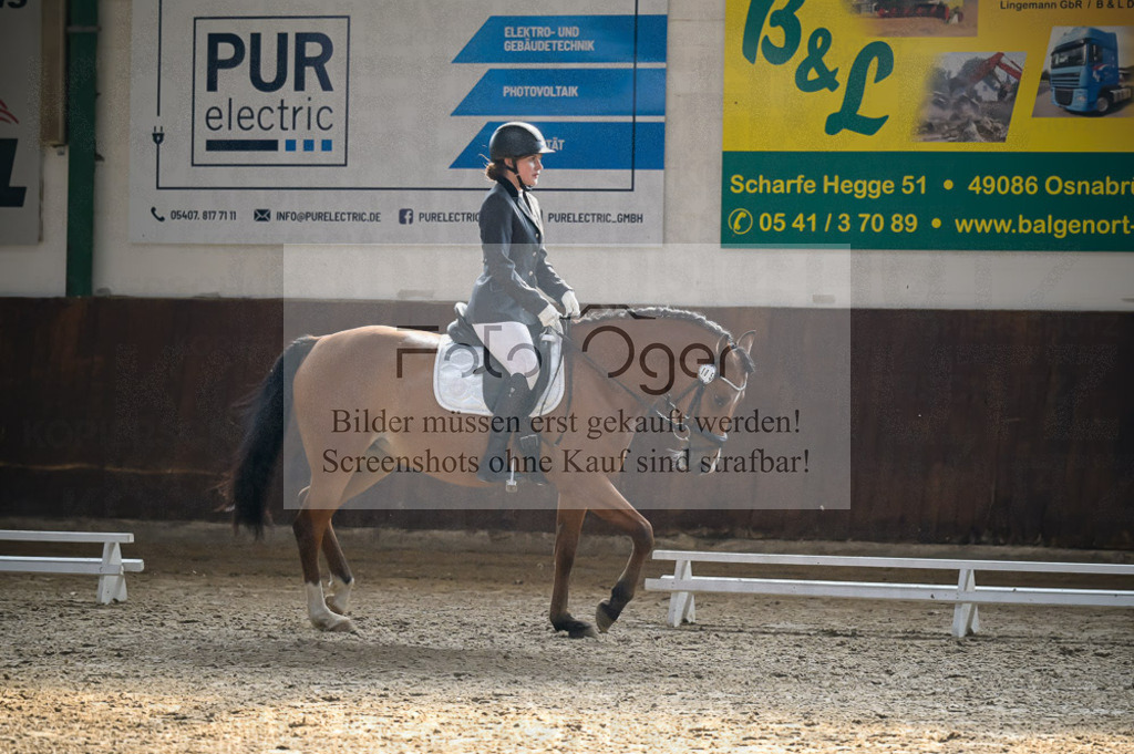 Reitturnier Voxtrup | Entdecke hochwertige Reitturnierfotos von Foto Oger. Professionell, emotional und authentisch – jetzt Lieblingsmomente im Shop bestellen.Deutschlandweite Turnierfotografie. - Realisiert mit Pictrs.com