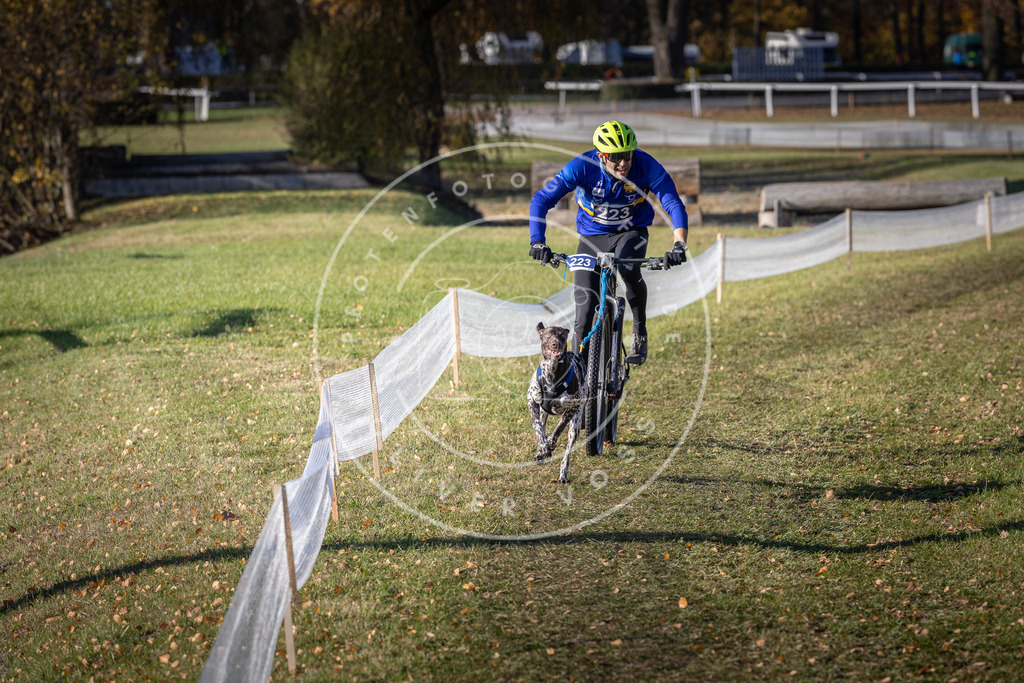 CaniXpix_DV3A3527 | Hundefotografie, Tierfotograf, Pfotenfotografie, Fotoshooting Hund, Hunde Portrait, Hundesport, Hundeportraits, Heideshooting, Hunde, Sportfotograf, Hundefotograf, Turnierhundsport, THS,  - Realisiert mit Pictrs.com