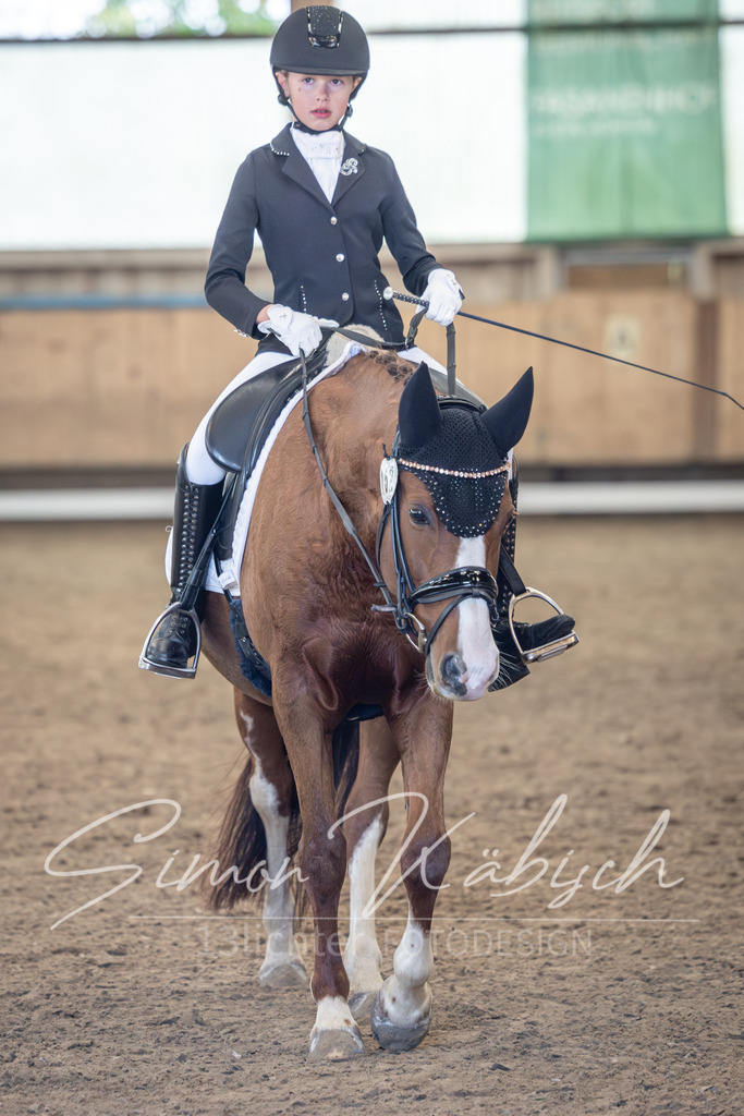 20251011-_3LI6976 | Tierfotografie Pferde, Hunde, Katzen, Haustiere.
Turnierfotografie Reitturniere, Reiten, Springreiten, Dressur in Hanau, dem Main-Kinzig-Kreis und dem Rhein-Main- Gebiet um Frankfurt