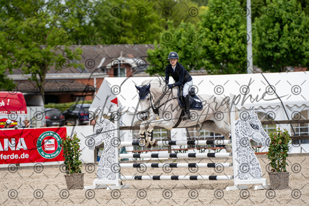 KPT_5396 | andre_photographic