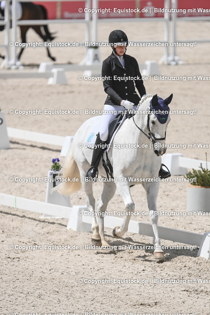 20250516_CCI2_Dressur_0153 | Foto: Thomas Hartig