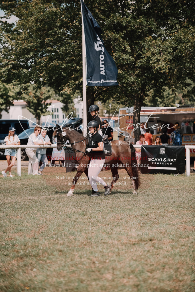 DSC_6103 | Pferde- und Turnierfotografie in Westsachsen. Pferdeportraits, Auftragszeichnungen und intuitive Kunst.