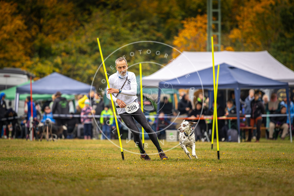 Pfotenfotografie_DV3A2227 | Hundefotografie, Tierfotograf, Pfotenfotografie, Fotoshooting Hund, Hunde Portrait, Hundesport, Hundeportraits, Heideshooting, Hunde, Sportfotograf, Hundefotograf, Turnierhundsport, THS,  - Realisiert mit Pictrs.com