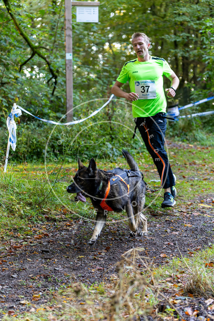 Pfotenfotografie_DV3A6758 | Hundefotografie, Tierfotograf, Pfotenfotografie, Fotoshooting Hund, Hunde Portrait, Hundesport, Hundeportraits, Heideshooting, Hunde, Sportfotograf, Hundefotograf, Turnierhundsport, THS,  - Realisiert mit Pictrs.com