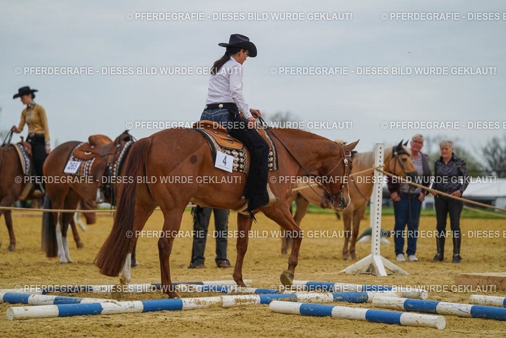 DSC02540 | Pferdegrafie