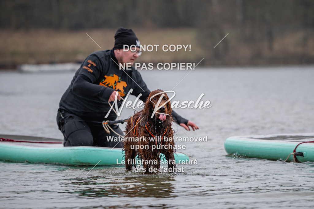 nelerasche_Hulsbeek_Sa1430-1515_530 | nelerasche
