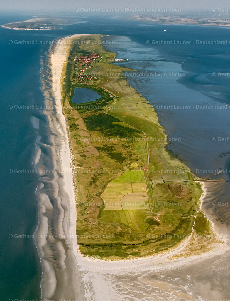 4038364 | Juist, Nationalpark Niedersaechsisches Wattenmeer