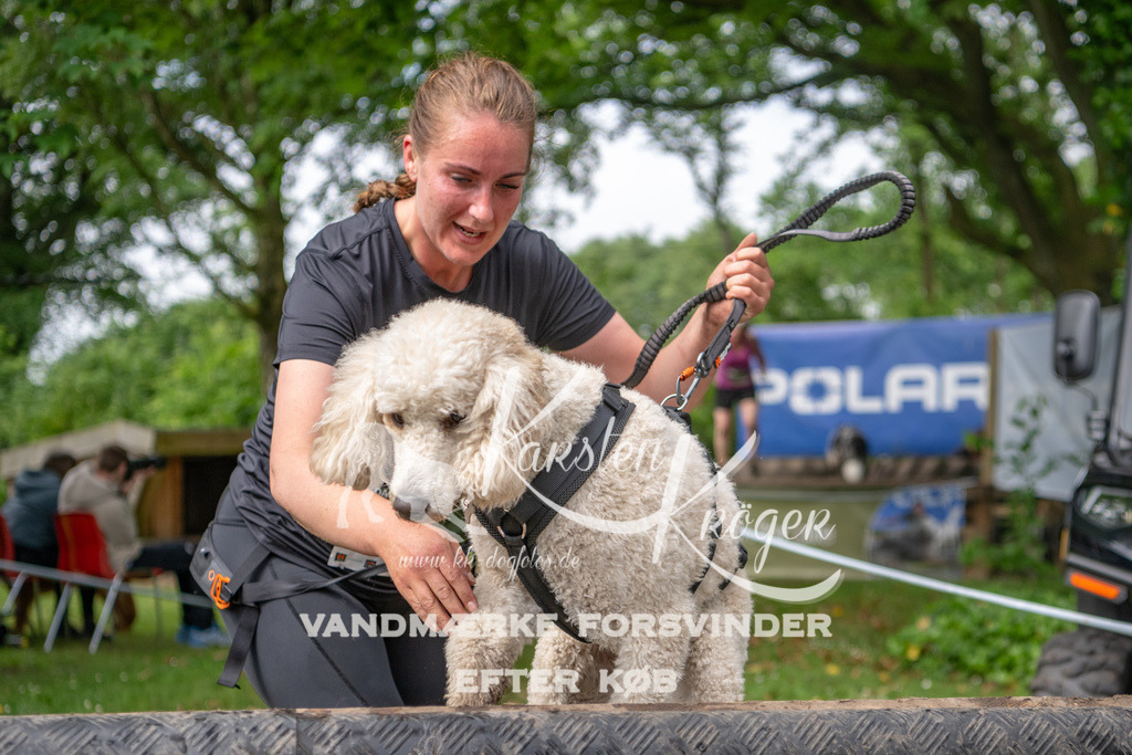 1005_ZZ93885 | kk-dogfotos