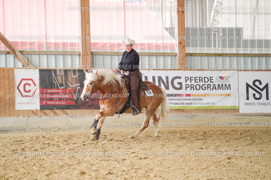 DSC01763 | Pferdegrafie