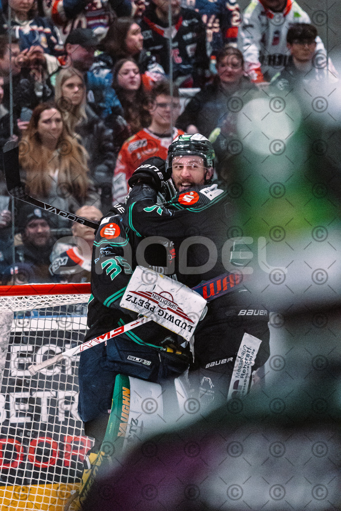 Alligators_vs_Selb_27_02_2026-44 | Höchstadt Alligators Fotogalerie: Eishockey-Action aus Franken. Professionelle Spielfotos, Portraits & Stadionbilder zum Download. Jetzt entdecken! - Realisiert mit Pictrs.com