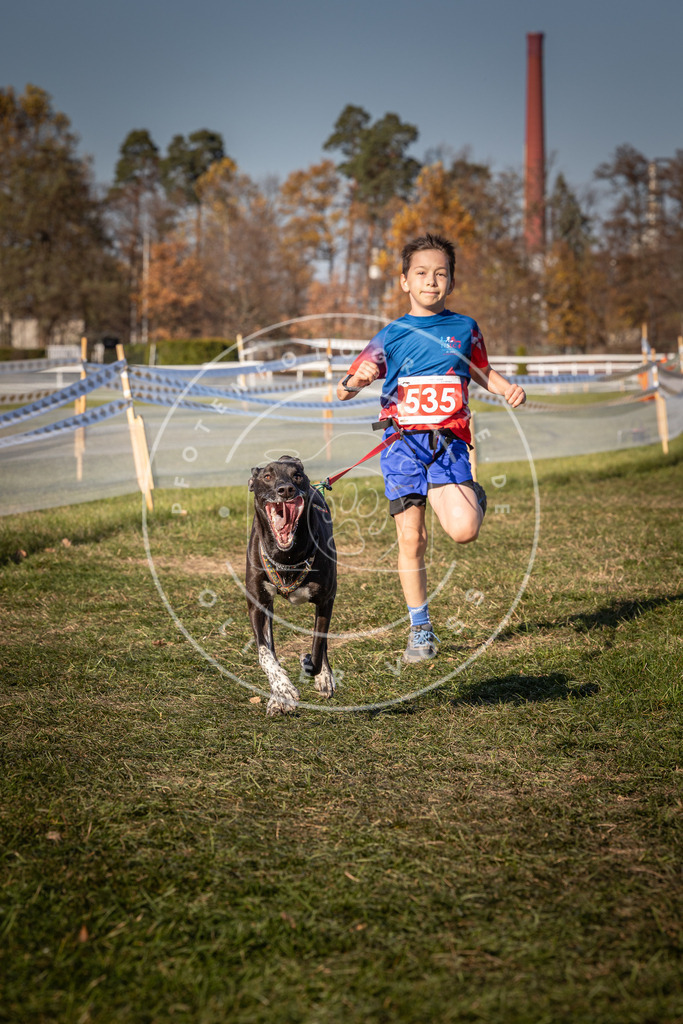 CaniXpix_0L8A7428 | Hundefotografie, Tierfotograf, Pfotenfotografie, Fotoshooting Hund, Hunde Portrait, Hundesport, Hundeportraits, Heideshooting, Hunde, Sportfotograf, Hundefotograf, Turnierhundsport, THS,  - Realisiert mit Pictrs.com