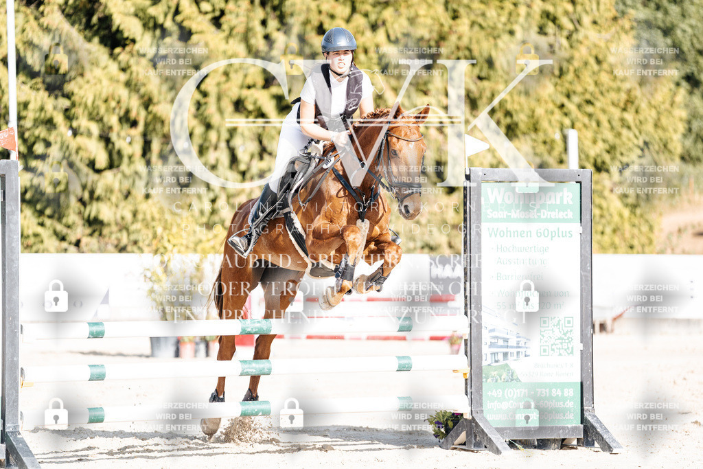 CK909343 | Turnierfotografie Pferdefotografie Trier Rheinland-Pfalz Pferdesport Reitsport Tierfotografie Sportfotografie Pferdevideo Pferdevideografie Equestrianvideography equestrianphotography  - Realisiert mit Pictrs.com