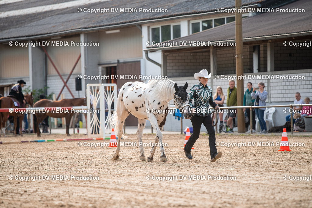 EWP_5584 | dv-media-shop - Realisiert mit Pictrs.com