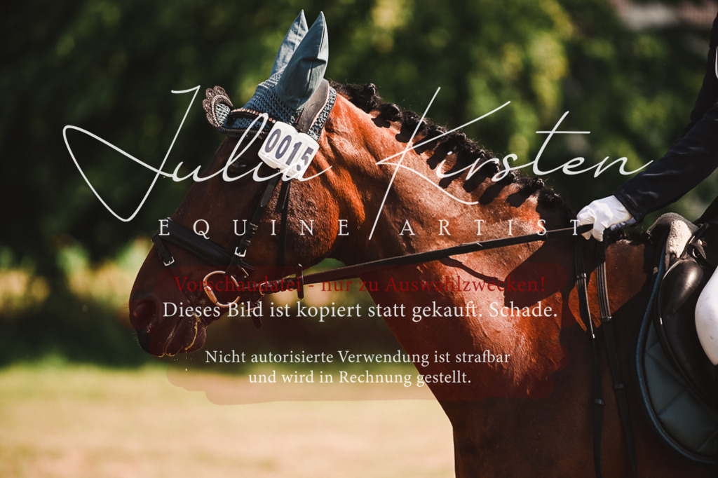 DSC_7322 | Pferde- und Turnierfotografie in Westsachsen. Pferdeportraits, Auftragszeichnungen und intuitive Kunst.