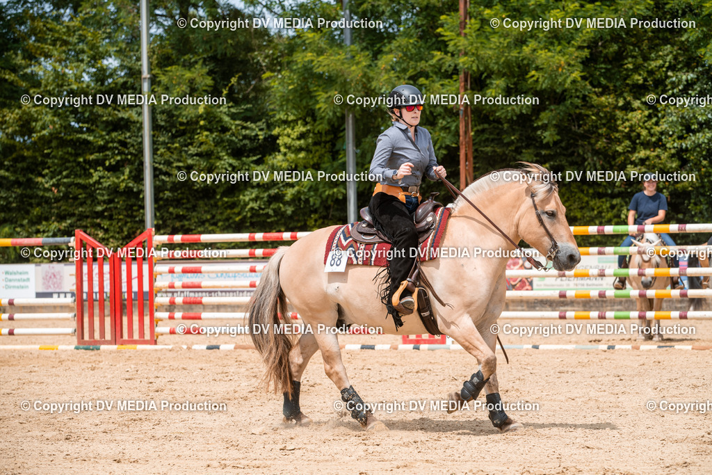 EWP_6307 | dv-media-shop - Realisiert mit Pictrs.com