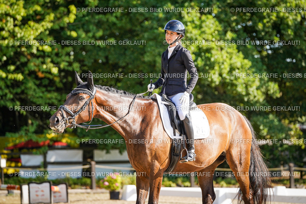 DSC09459 | Pferdegrafie