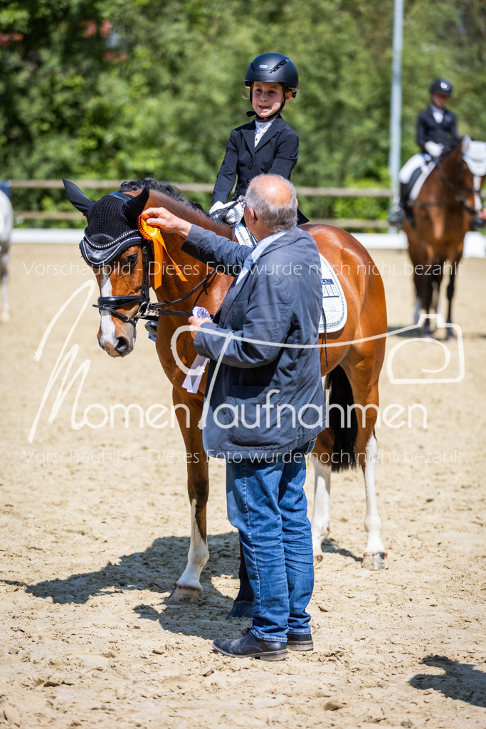 Donop24-RWB-058 | MomenTaufnahmen Pferdesportfotos