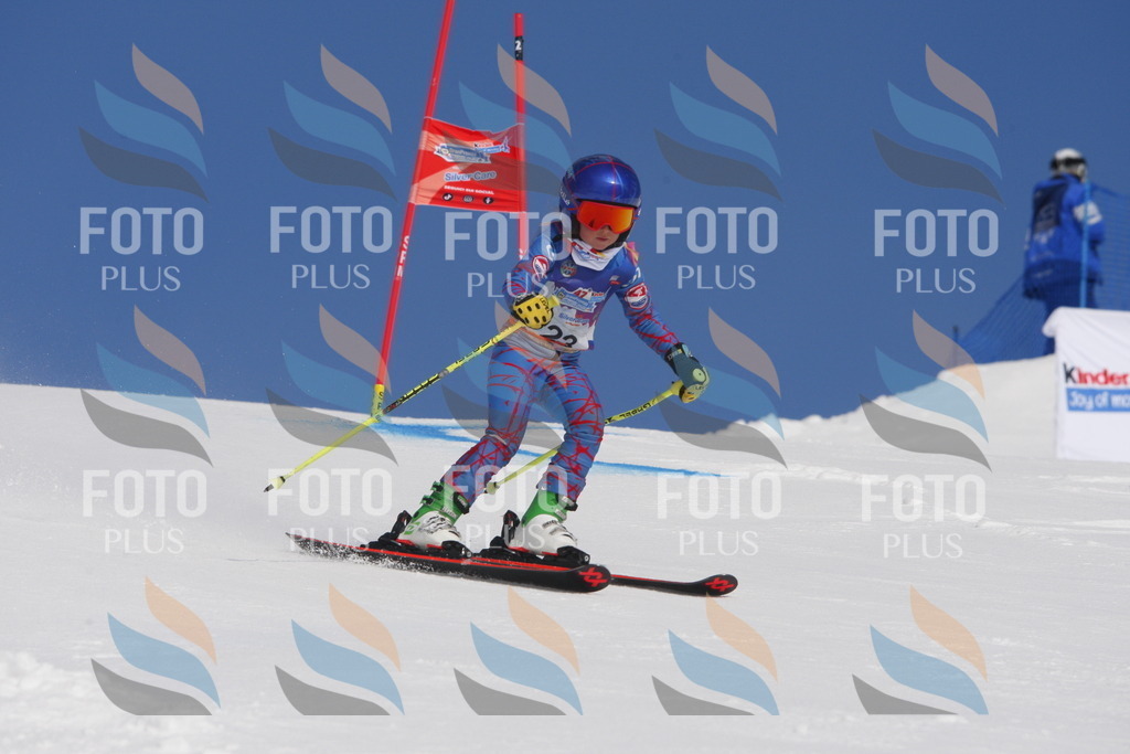 _W1G0295 | holidayphoto