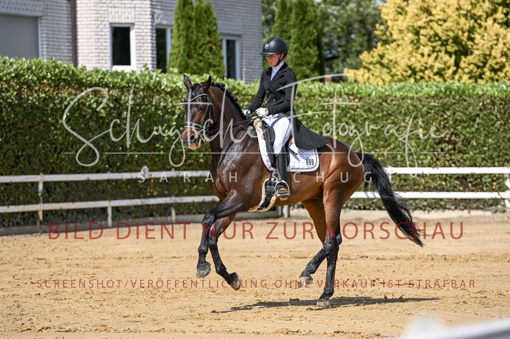 Schugtsche-Aluta25-58. Dressurprf.S1Kand.St.GeorgSpecial-141 | Schugtsche Fotografie - Realisiert mit Pictrs.com