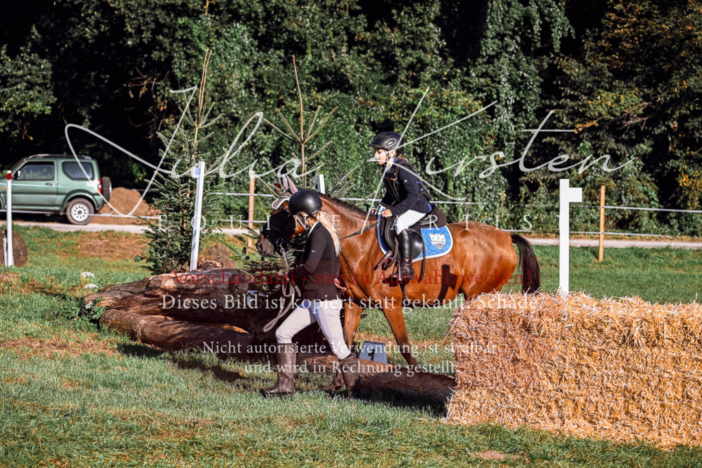 DSC_0213 | Pferde- und Turnierfotografie in Westsachsen. Pferdeportraits, Auftragszeichnungen und intuitive Kunst.