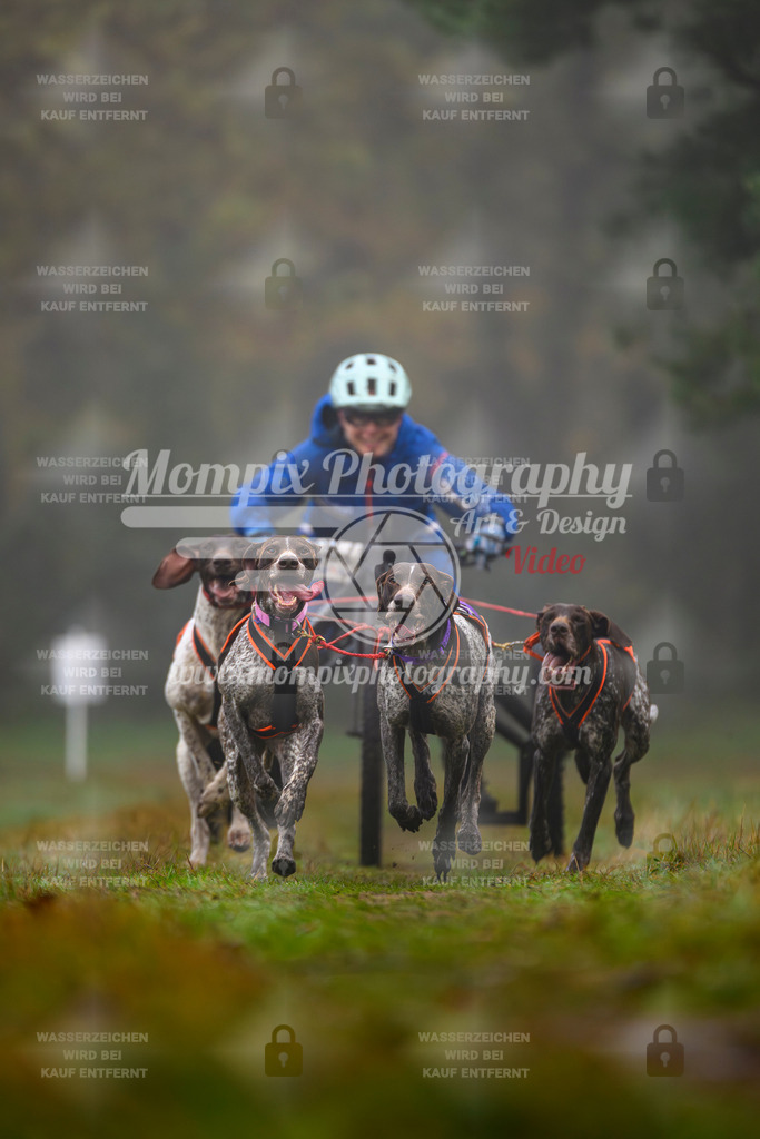 MompixPhotography_Bischwiller2025_Kart-9 | mompixphotography