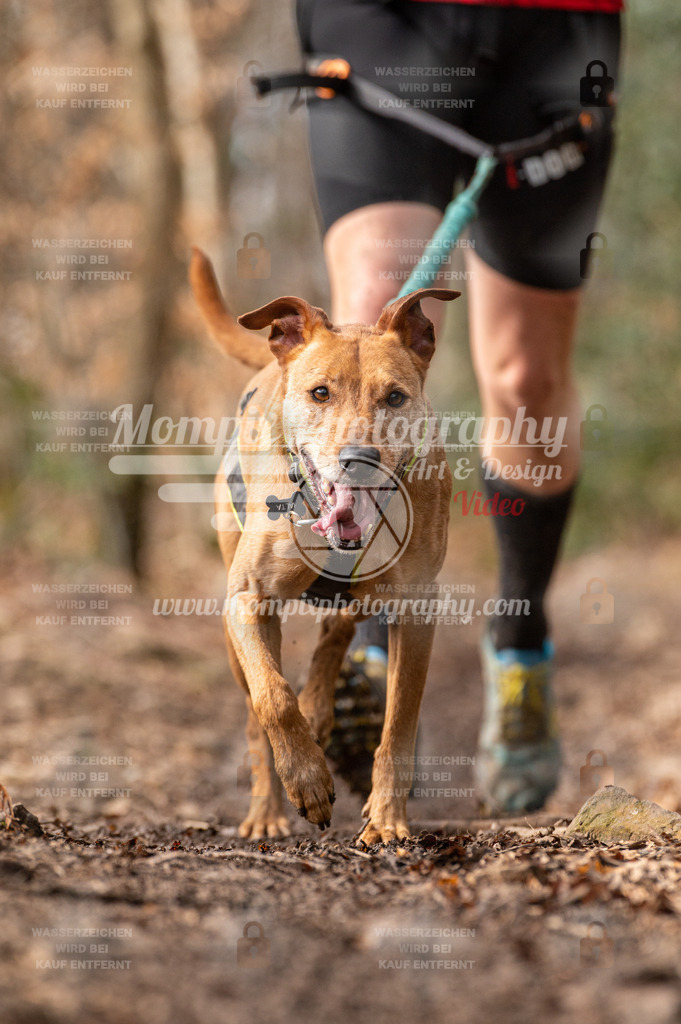 SPA_2023_DIM_Fun-28 | PayLife