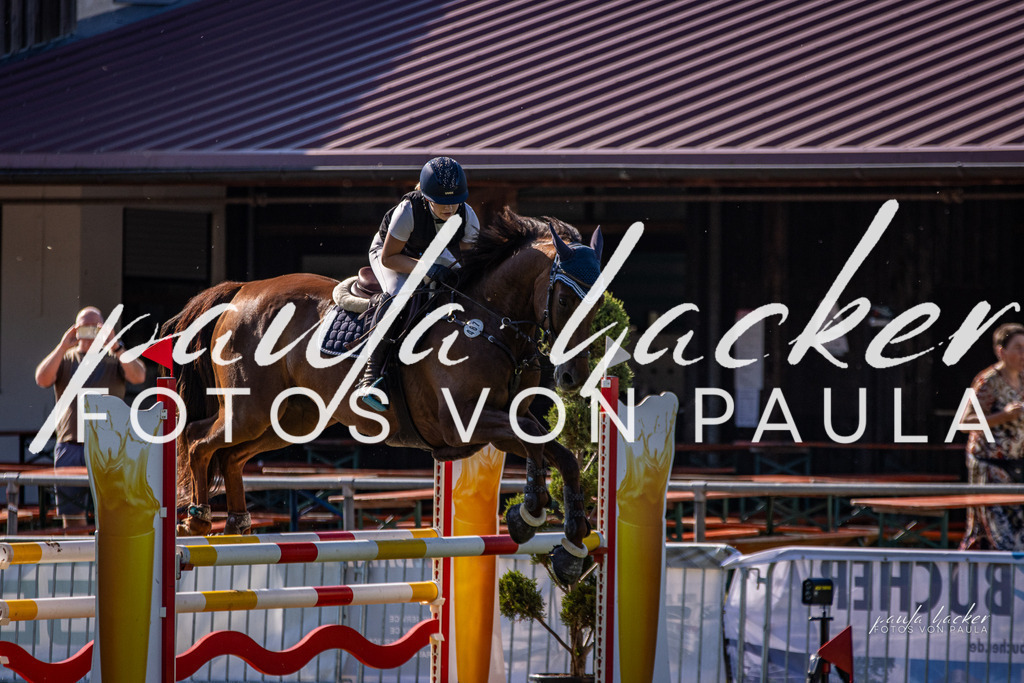 IMG_0082 | Erleben Sie dynamische Sport- und emotionale Tierfotografie in Süddeutschland mit Fotos von Paula. Spezialisiert auf Pferde- und Hundefotografie sowie Sportevents. Kontaktieren Sie mich für einzigartige und ausdrucksstarke Bilder Ihrer besonderen Momente. - Realisiert mit Pictrs.com