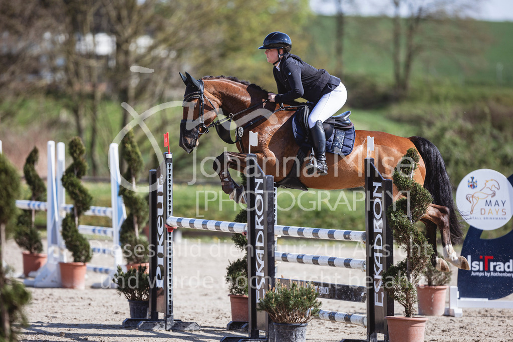 250419_Frühlingsfest_Stil-L-656 | Deine schönsten Turniermomente als professionelle Fotos! Entdecke hochwertige Pferdesport-Fotografie im Online-Shop. Jetzt Fotos finden & bestellen!