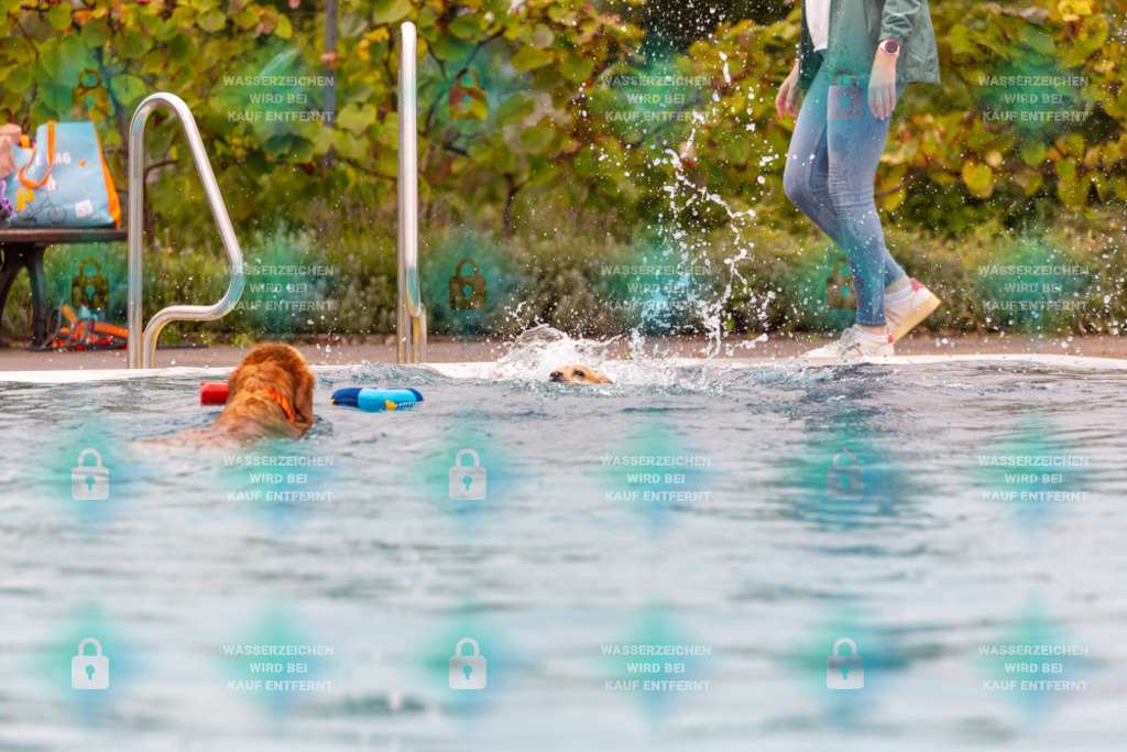 _HP_6104_1000o | HetPix, HetPix Fotodesign, Fotografie, Fotodesign, Webshop, Sportfotografie, Portraitfotografie, Onlineshop, Sportfotografie, Polch, Motorsportfotografie, Eventfotografie