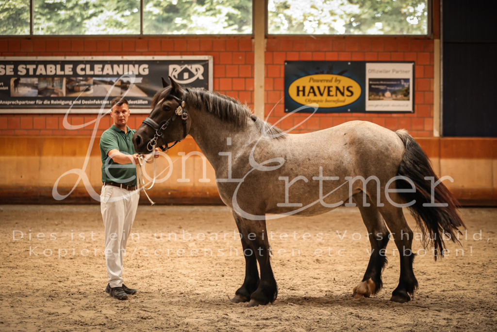 SaFL00330 | Leoni Ertmer Photography - Realisiert mit Pictrs.com