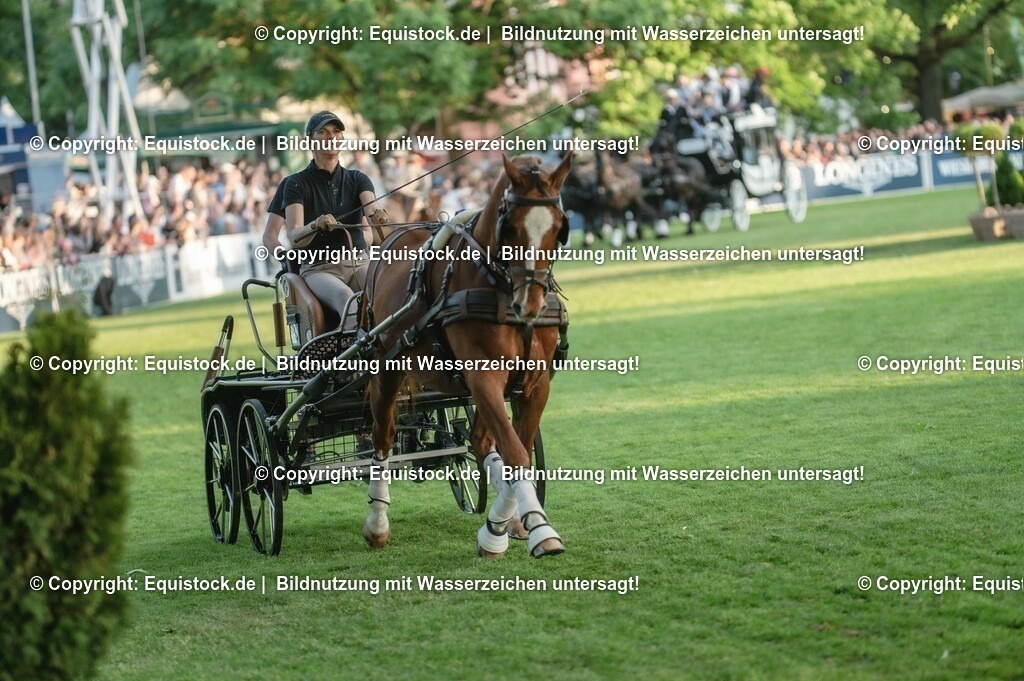 20230526_Pferdenacht_0166 | equistock