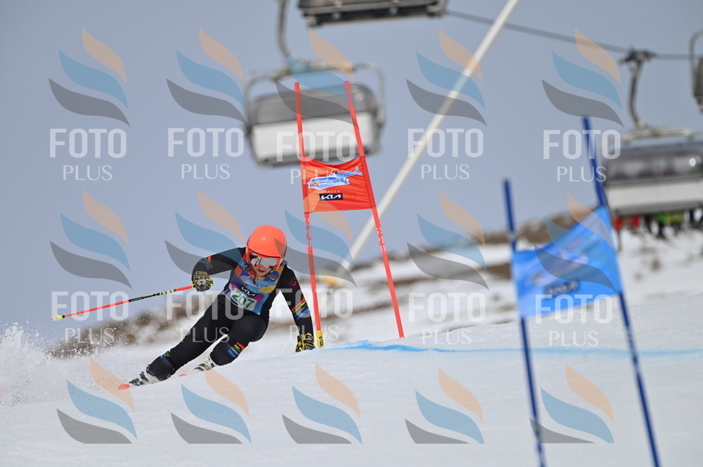 BGV_3991 | holidayphoto