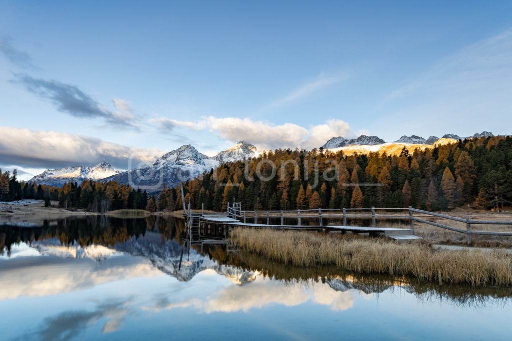 JB3A5570 | antonija-trupina - Realisiert mit Pictrs.com