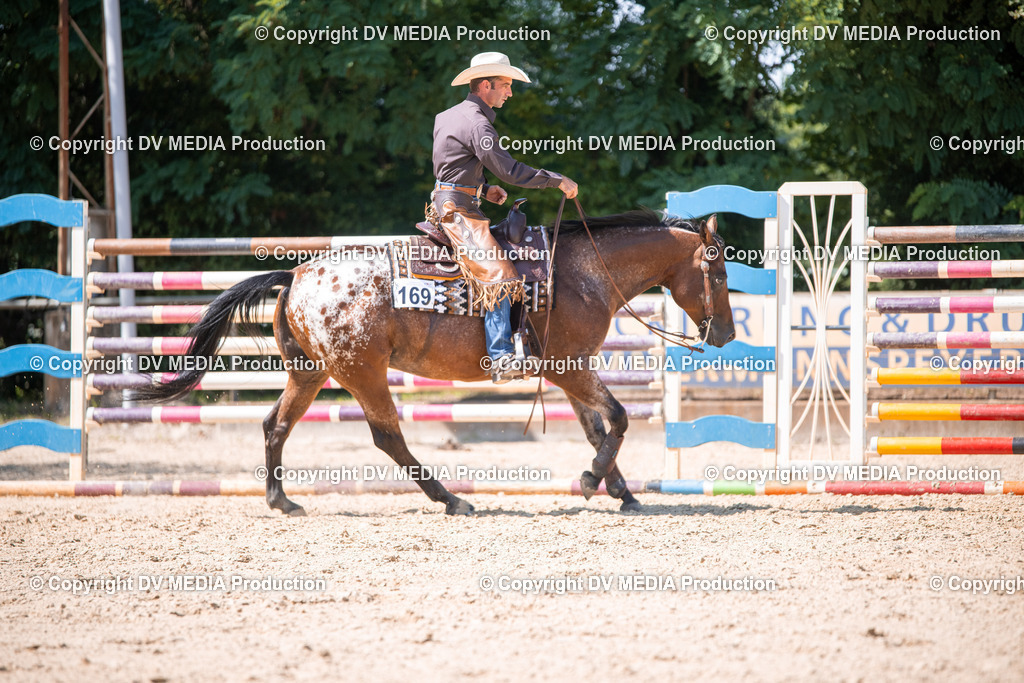 ZS1_1646 | dv-media-shop - Realisiert mit Pictrs.com