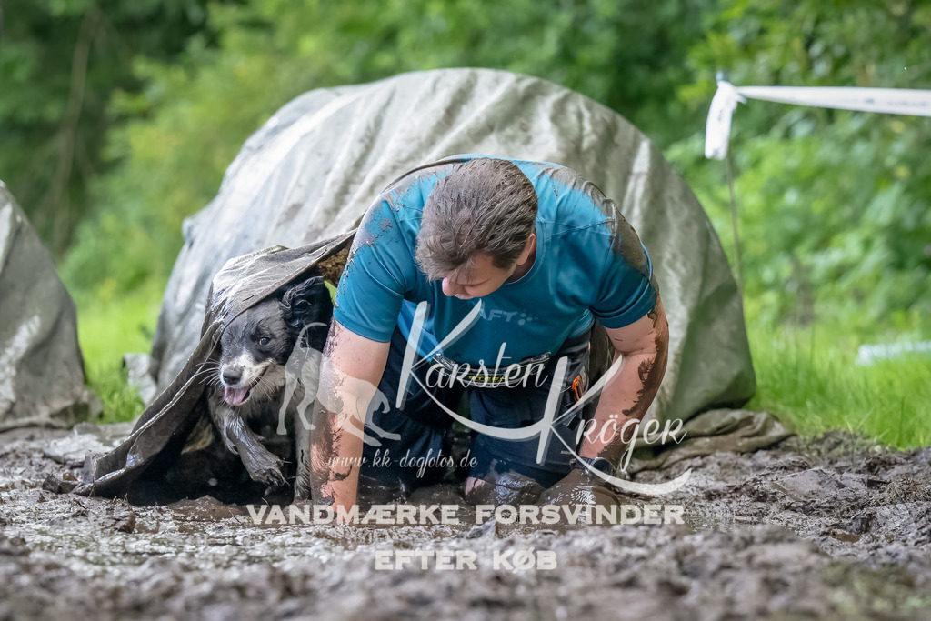 1151_ZZ94619-Bearbeitet | kk-dogfotos