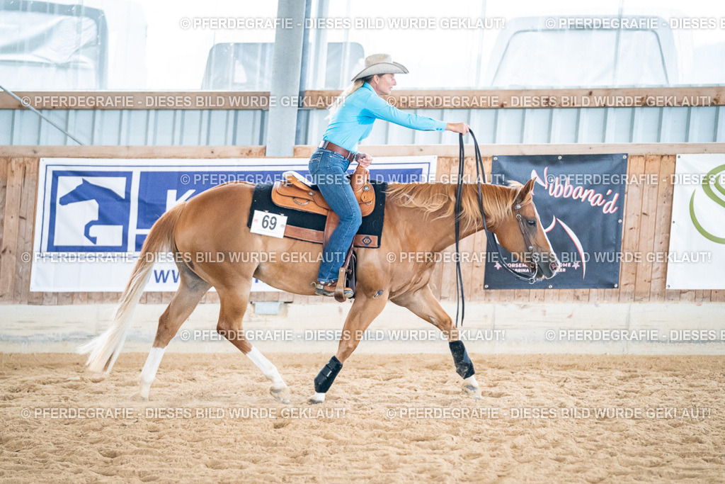 DSC03376 | Pferdegrafie