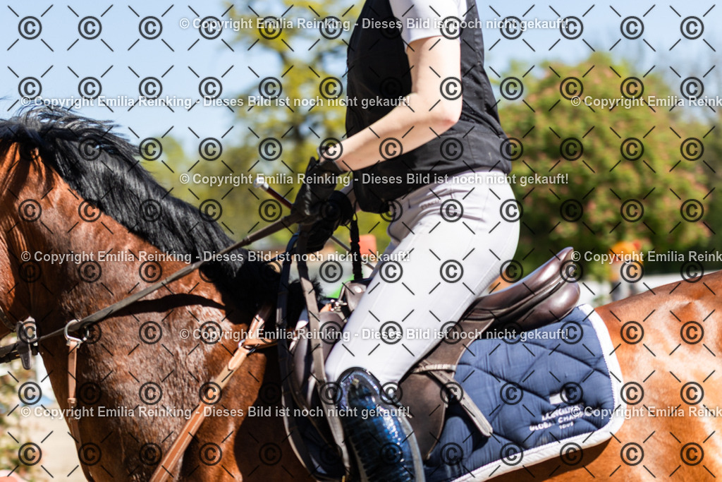 CL5A2740 | Emilia Reinking Fotografie - Realisiert mit Pictrs.com