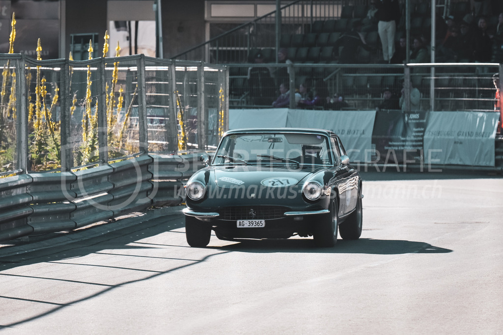 21. Arosa ClassicCar 2025 - 6. =September= 2025 | Michel Adrian-Richard aus Walde (SUI) in einem Ferrari 365 GTV aus dem Jahre 1969 mit Startnummer 217 am Arosa ClassicCar 2025 in der Kategorie Classic Trophy..@arosaclassiccar, @arosa.official, #arosaclassiccar, #arosa, #76curves, #classiccarBild: Sportfotografie Markus Aeschimann | www.markus-aeschimann.ch - Realisiert mit Pictrs.com