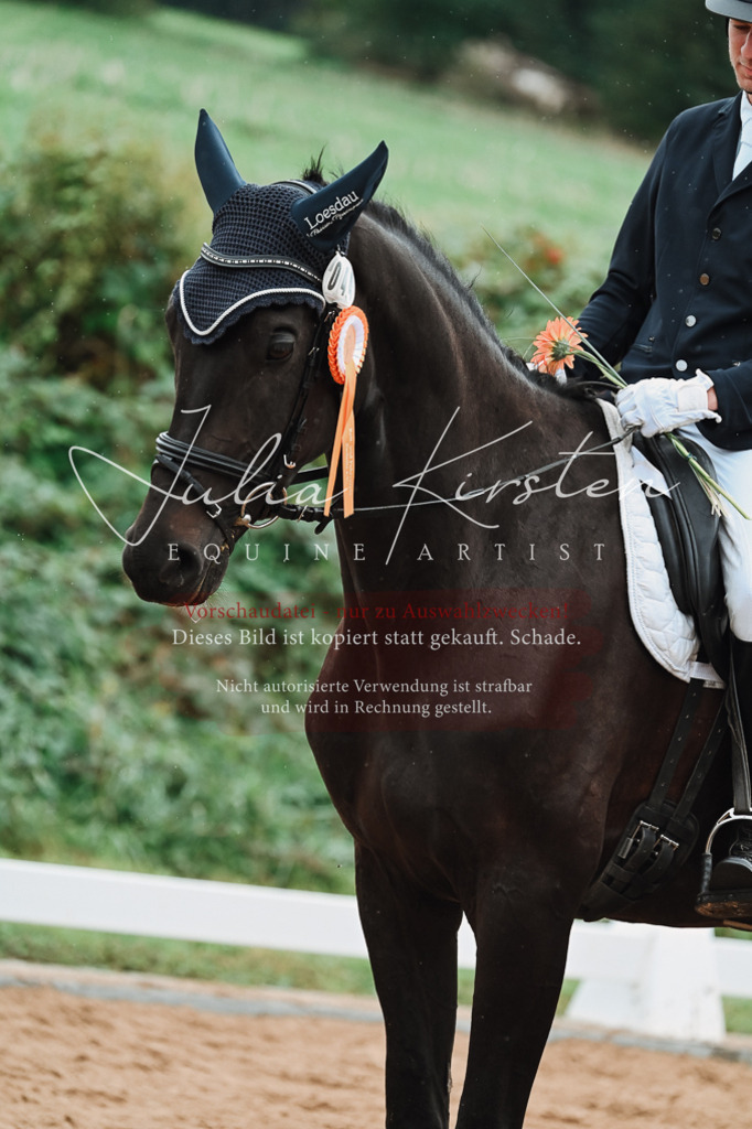 DSC_7257 | Pferde- und Turnierfotografie in Westsachsen. Pferdeportraits, Auftragszeichnungen und intuitive Kunst.