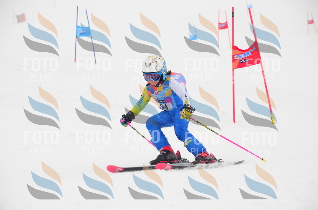 C1327 | holidayphoto